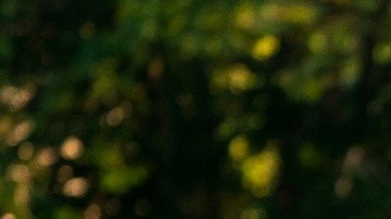 Ivanka Trump y Jared Kushner donan para rescate de personas de edificio colapsado en Miami