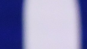 Kamala Harris y Bernie Sanders