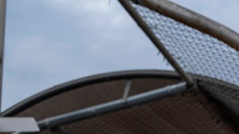 Unos 11,200 inmigrantes han podido ingresar a EE.UU.