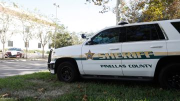 Alguacil condado Pinellas Florida