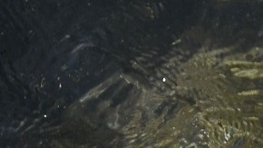 plastico mar