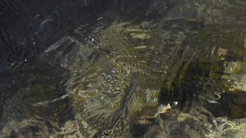 plastico mar