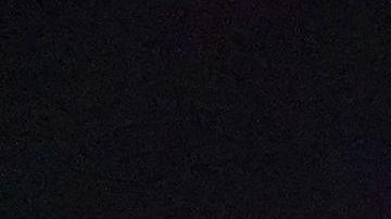 Las fiestas en Washington Square Park han dejado heridos.