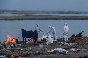 Crecida del río Ganges deja al descubierto tumbas de víctimas de coronavirus en la India