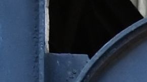 El hongo negro sacudió a la India.