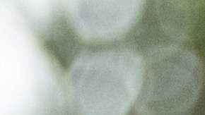 Familias con menores en EEUU