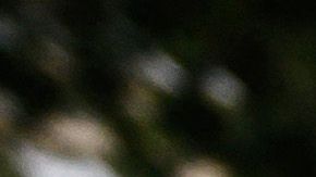 Valerie Bacot Francia