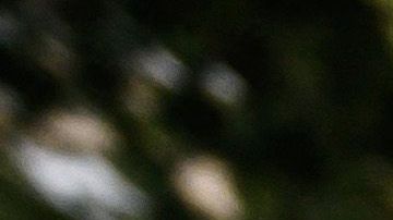 Valerie Bacot Francia