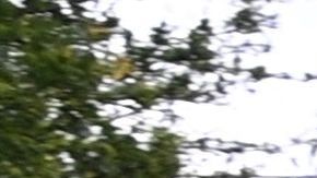 Tour de Francia 2021