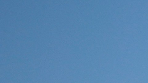 Ola de calor