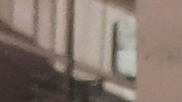 Variante Delta Coronavirus