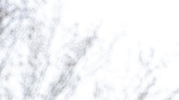 Chuck Schumer, líder de la mayoría en el Senado.