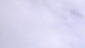 Hay cuatro escenarios sobre beneficios a inmigrantes indocumentados.