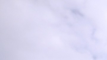 Hay cuatro escenarios sobre beneficios a inmigrantes indocumentados.