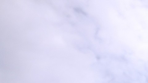 Hay cuatro escenarios sobre beneficios a inmigrantes indocumentados.