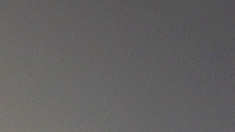 Jen Psaki secretaria prensa Biden