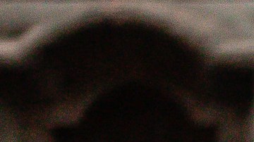 AMLO votó en México.