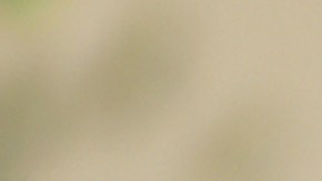 Piloto acusado asesinar esposa en Grecia