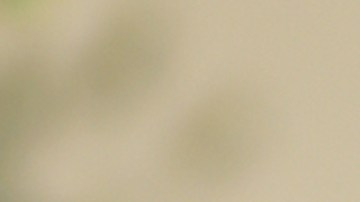 Piloto acusado asesinar esposa en Grecia