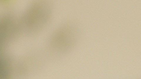 Piloto acusado asesinar esposa en Grecia