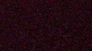 Imagen del accidente tras el cual Lady Di perdió la vida.