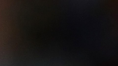 Usain Bolt