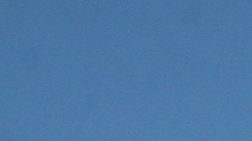 Más de 50 coaliciones celebraron este jueves en la Plaza Corona en Queens.