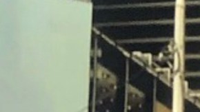 María Celeste Arrarás