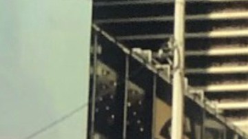 María Celeste Arrarás