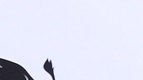 Iggy Azalea se defiende de los señalamientos de los fans de Britney Spears y dice que sí la apoya.