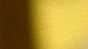 La primera dama de los Estados Unidos, Jill Biden, defiende sus medias de malla.