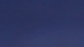 Messi ya marcó y asistió en esta Copa América 2021.