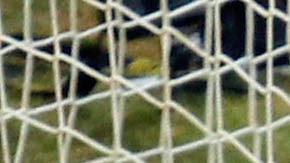 Se retira el Loco Abreu