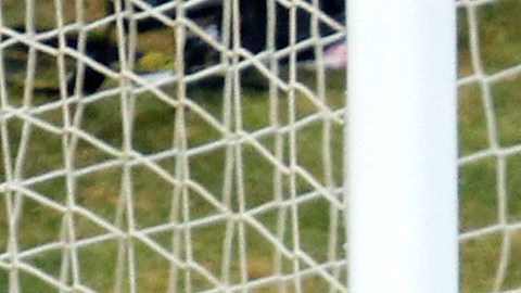 Se retira el Loco Abreu