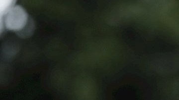 Con 36 años volvió a ganar una etapa en el Tour de Francia.