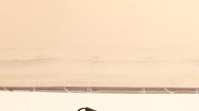 Mayweather peleará por segunda vez en exhibición tras su retiro en 2017.