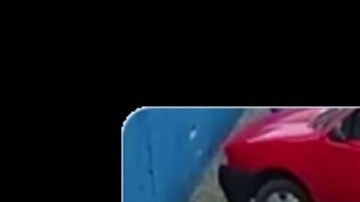 Perro atropella a un hombre