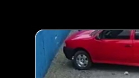 Perro atropella a un hombre