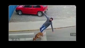 Perro atropella a un hombre