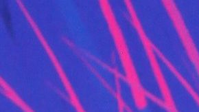 Dictan prisión preventiva oficiosa a YosStop tras detenerla por cargos de pornografía infantil