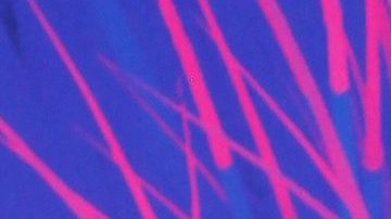 Dictan prisión preventiva oficiosa a YosStop tras detenerla por cargos de pornografía infantil