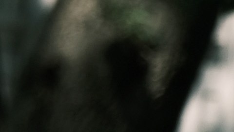 Activistas, y familiares de muertos a manos de policías, protestaron en las afueras del Concejo Municipal para exigir que hicieran más recortes al presupuesto del NYPD.