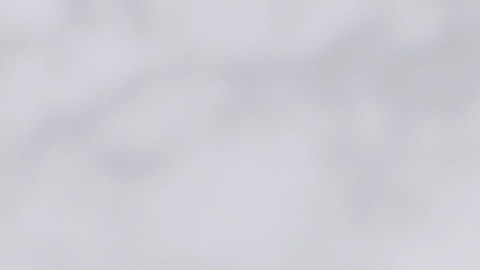 Plantas medicinales migraña