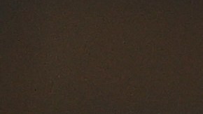 Roger Federer se baja de Roland Garros