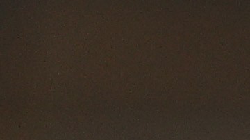 Roger Federer se baja de Roland Garros