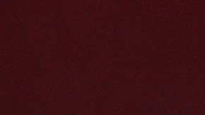 Teófimo López dio positivo por COVID-19