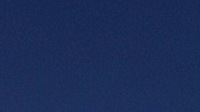 Los ataques raciales, como contra asiáticos, y el atentado al Capitolio son considerados terrorismo doméstico.