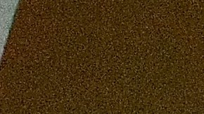 Regalo millonario dado por Vanessa Bryant