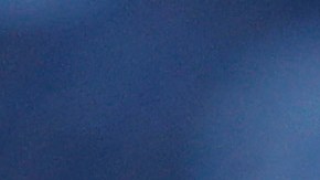 Wander Franco va a debutar en MLB