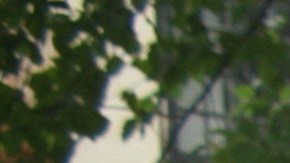 Yonatan Matheus y Wendel Oviedo fundaron la Red de Apoyo América Diversa en la Gran Manzana.